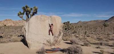 Pinhead v1, Joshua Tree - Beta Video from turtle.fan.777