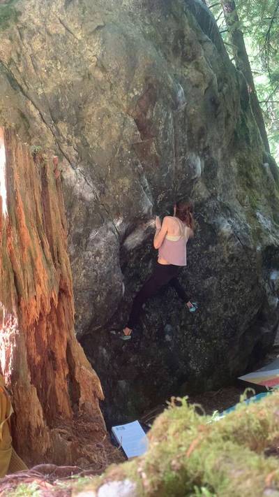 Coexist v6, Miller River - Beta Video from nicolemaksi