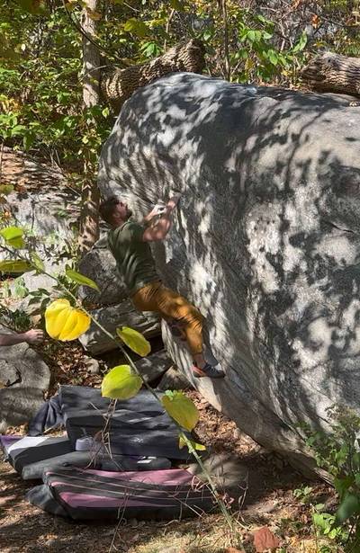 Three Little Birds v4, Rumbling Bald - Beta Video from delaney.