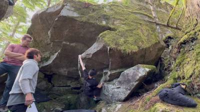 Live Moss v6, Gold Bar - Beta Video from swansea