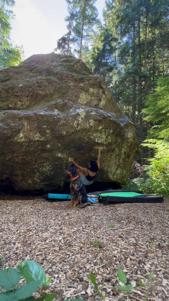 Restless v3, Comox Lake - Beta Video from domaustin