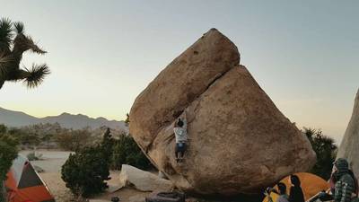 Dreaming of the Master v8, Joshua Tree - Beta Video from prrdylady
