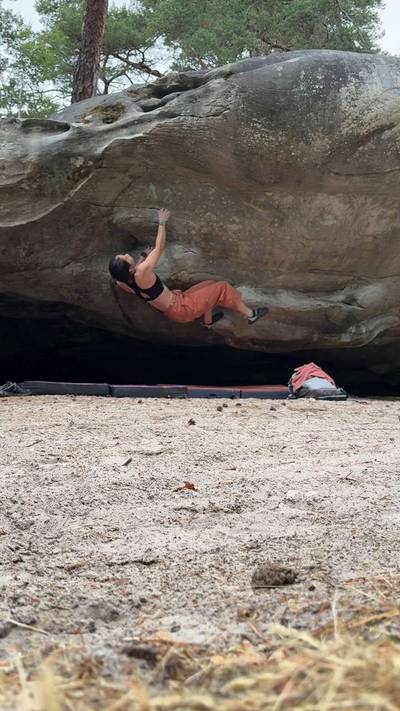 Fantasia v5, Fontainebleau - Beta Video from xinyuez