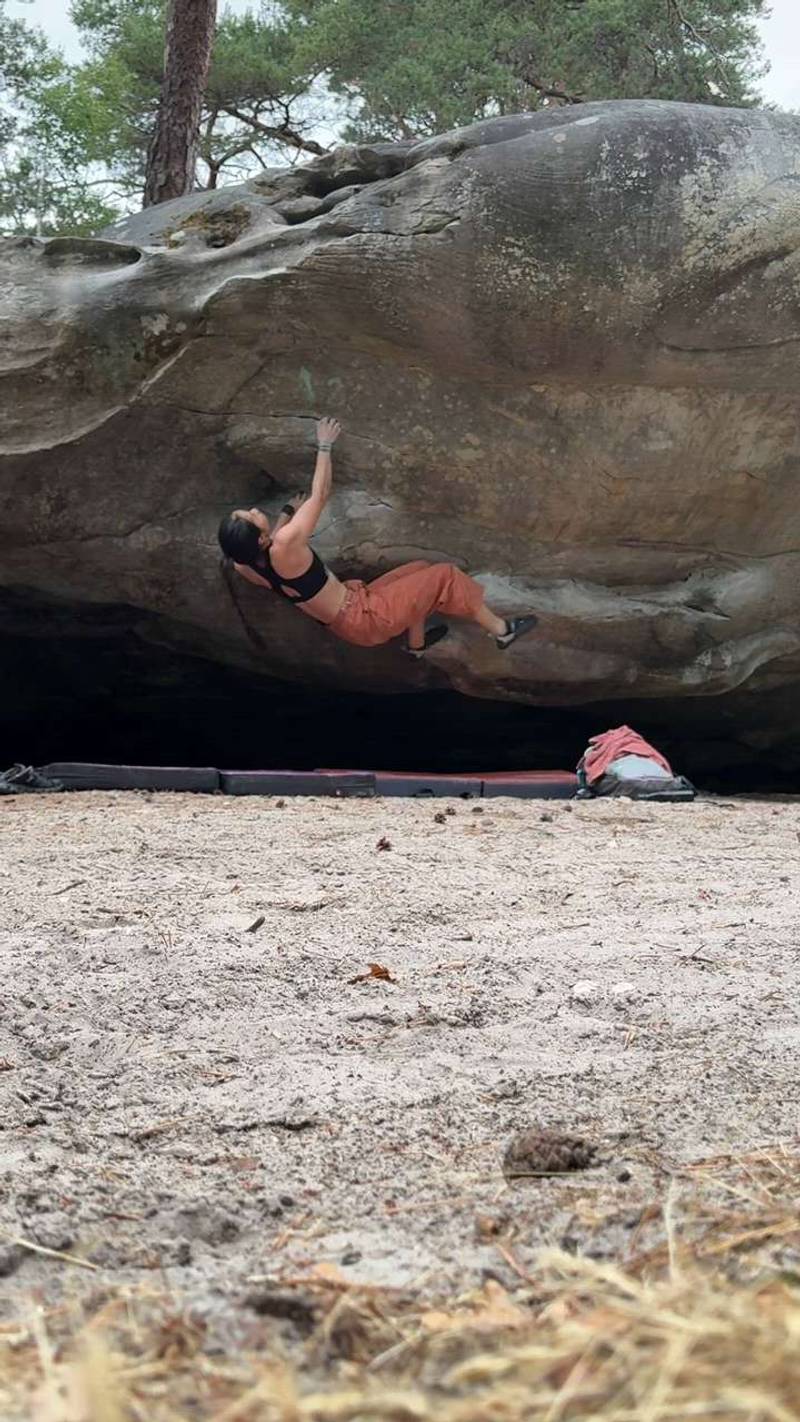 Fantasia v5, Fontainebleau - Beta Video from xinyuez