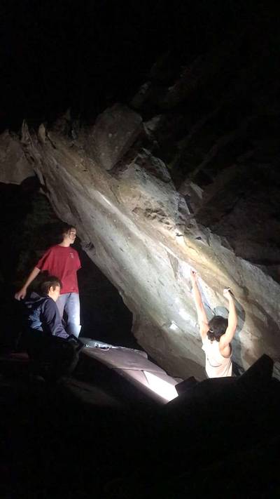 Ross Bongo Left v9, Gold Bar - Beta Video from ethenwes