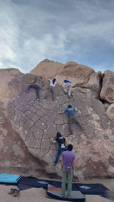 Dragon Scales vB, Joshua Tree - Beta Video from Ruirui