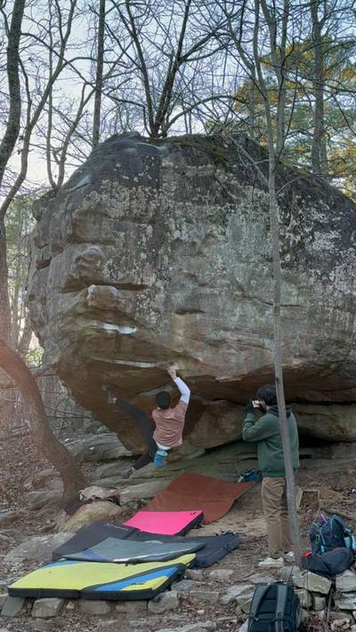 Mulletino v6, Horse Pens 40 - Beta Video from ItsWin