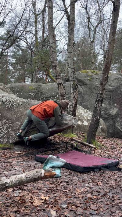 Crocodile v3, Fontainebleau - Beta Video from bigaud