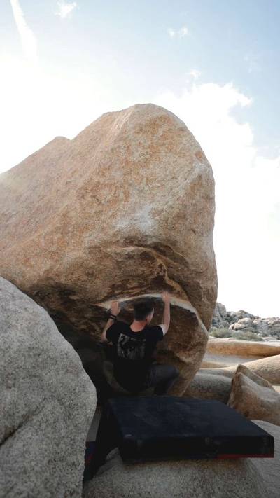 Mystical Vibrations v5, Joshua Tree - Beta Video from Flanders