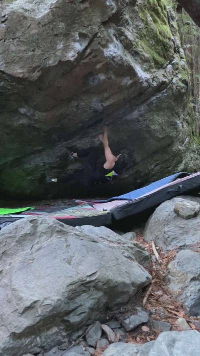 Bonum Vitae v7, Mt. Tamalpais - Beta Video from NatashaBarnes