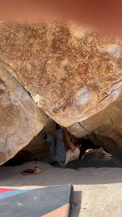 Pigpen v4, Joshua Tree - Beta Video from mysticspiral