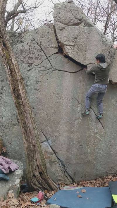 Earl the Squirrel v7, The Citadel - Beta Video from erni