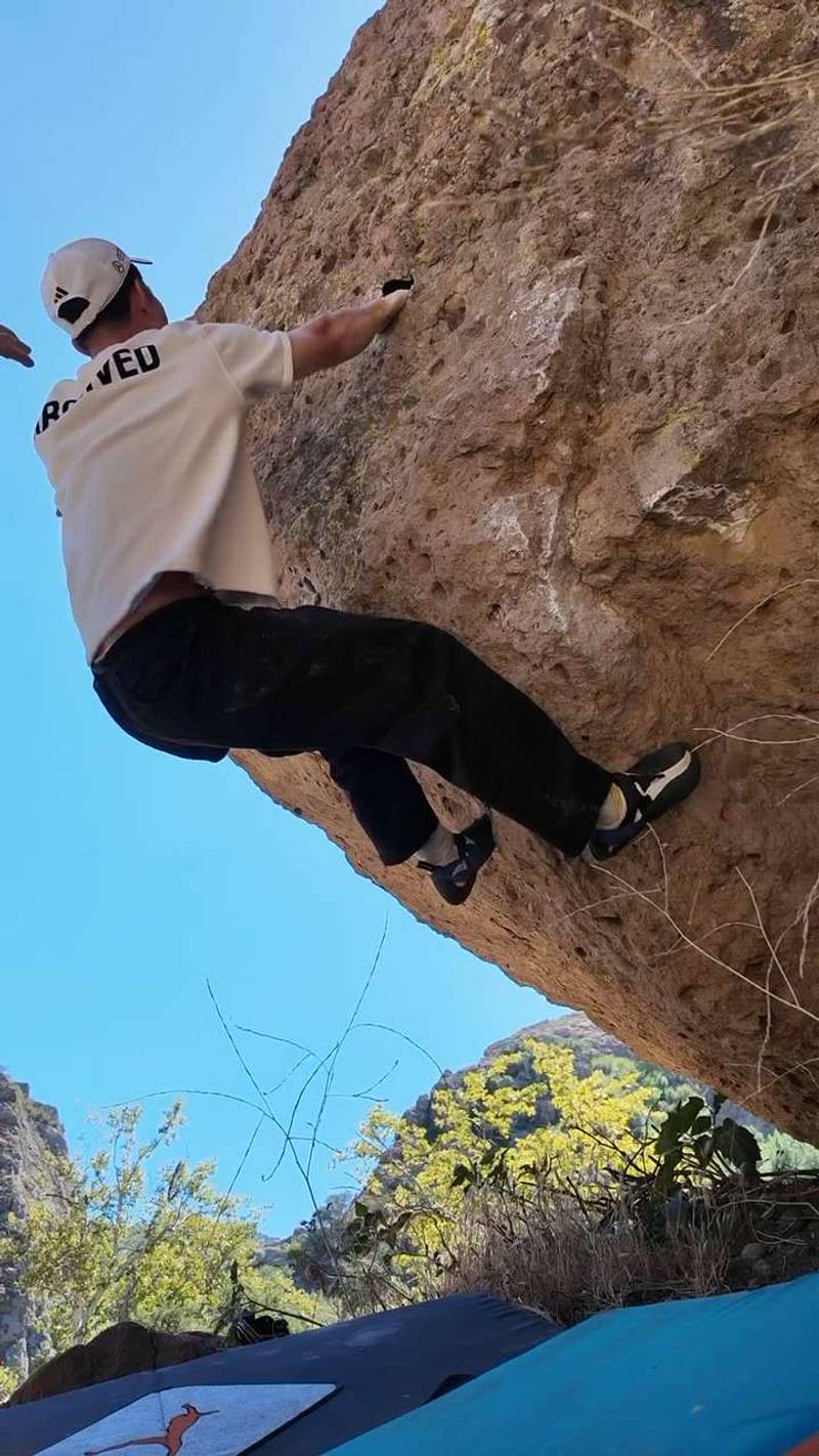 Apes Wall Prow v2, Malibu - Beta Video from hymenbreaker