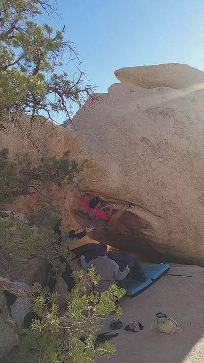 Mystical Vibrations v5, Joshua Tree - Beta Video from Branerd
