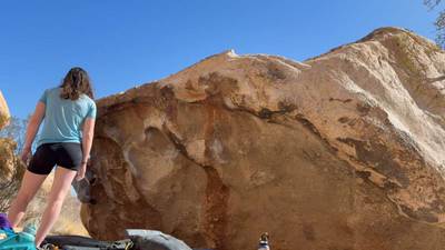 Monkey Gone to Heaven v3, Joshua Tree - Beta Video from jessdontfall