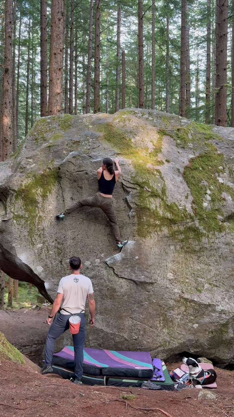Fido Slab v0, North Bend - Beta Video from danab