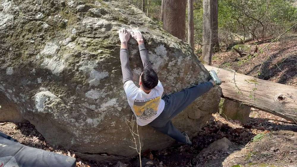 The Kidney Stone v2, Northwest Branch - Beta Video from nslyon