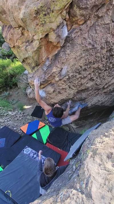 Jewbacca v5, Roy - Beta Video from tylersessums