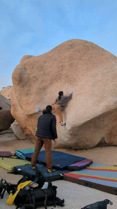 Stem Gem v4, Joshua Tree - Beta Video from lisalisa