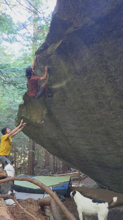 The Rookie v8, Squamish - Beta Video from thegnarwall