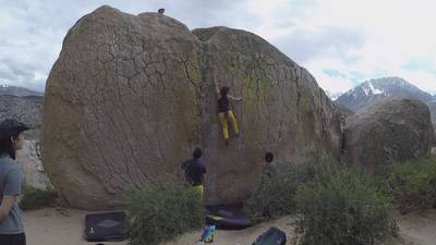 Green Wall Center v6, Bishop - Beta Video from anniebani