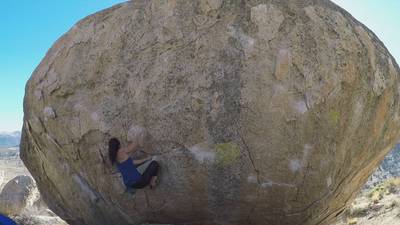 Smooth Shrimp v6, Bishop - Beta Video from anniebani