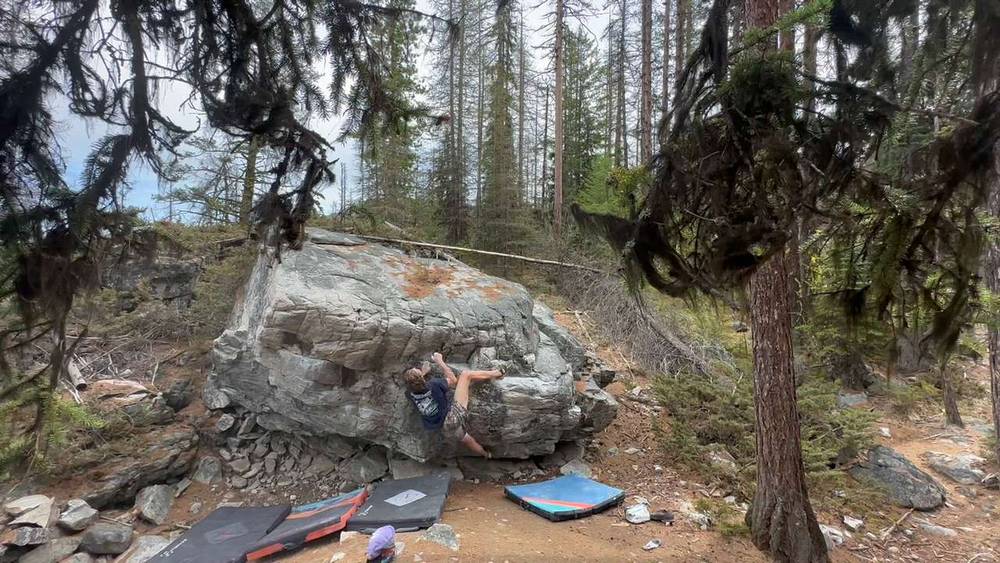 Lazy Ladybug (Variant) v3, Kelowna - Beta Video from lil.z