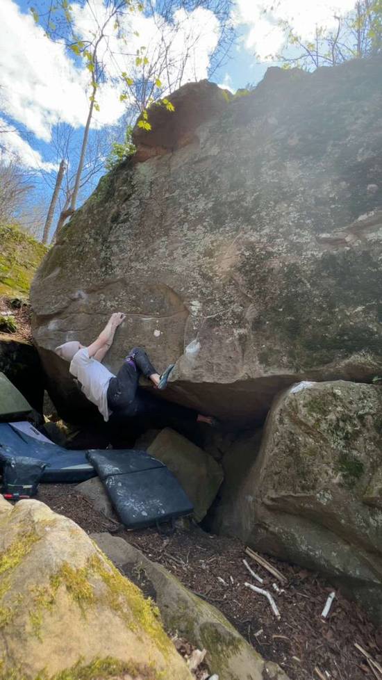 Apocalypse Meow v9, Sandstone - Beta Video from ChrisDeal