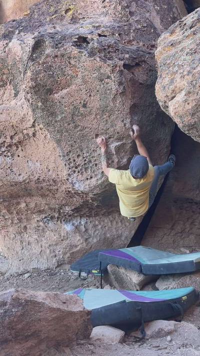Stroking the Walrus v8, Bishop - Beta Video from pangtastic