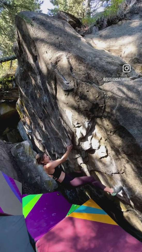 Whales in the Forest AKA Sleepy Hollow v5, Porcupine Hills - Beta Video from susansaysSENDIT