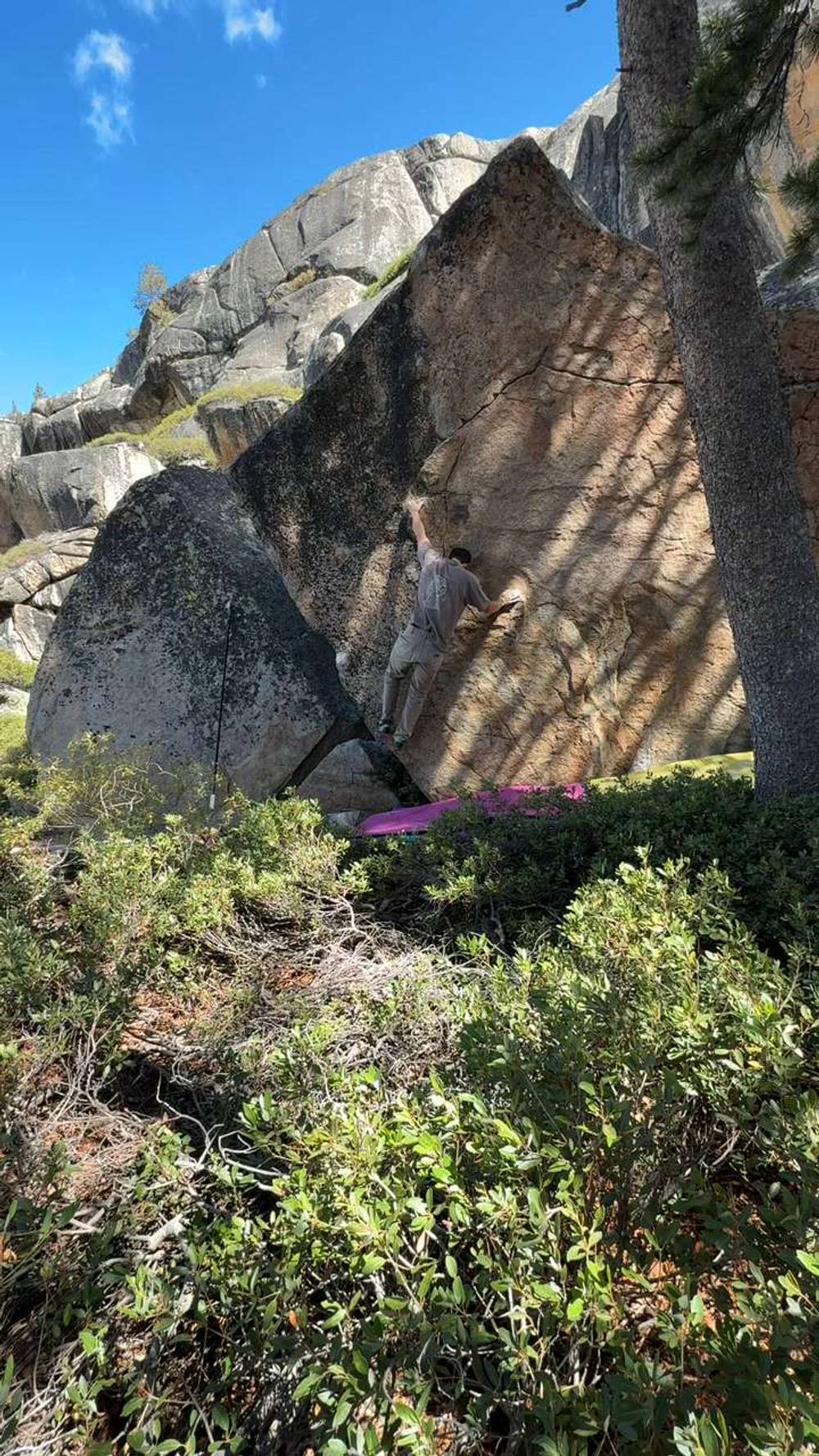Birds of Paradise v2, Lake Tahoe - Beta Video from BertMacklin_FBI