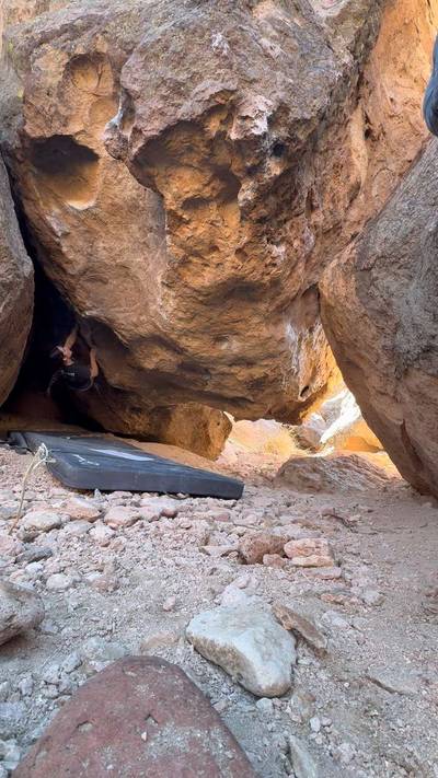Mad Cow v11, Bishop - Beta Video from alexbradley