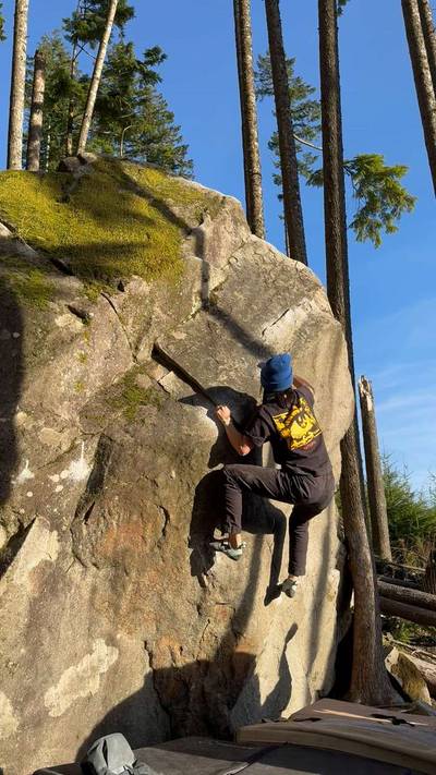 Midnight Lichen v4, Gold Bar - Beta Video from yujinkim