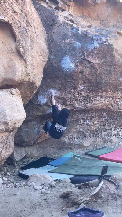Hamtaro v8, Bishop - Beta Video from Yalowega