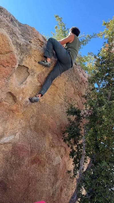 Swiss Cheese v0, Horse Flats - Beta Video from Wigginator