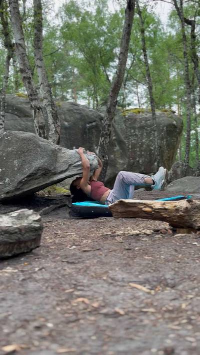 Crocodile v3, Fontainebleau - Beta Video from Genevive