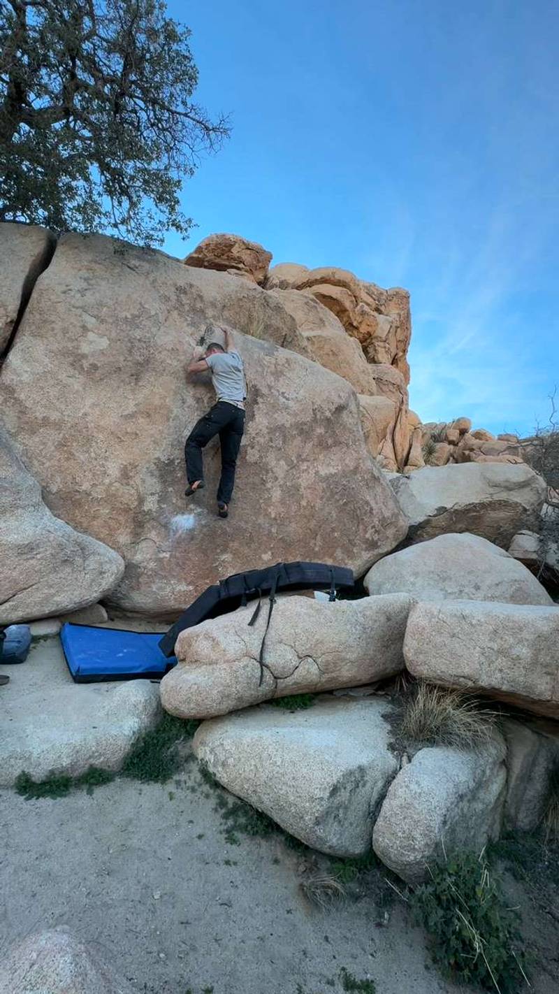 Monkey Chow v3, Joshua Tree - Beta Video from spudsrocks