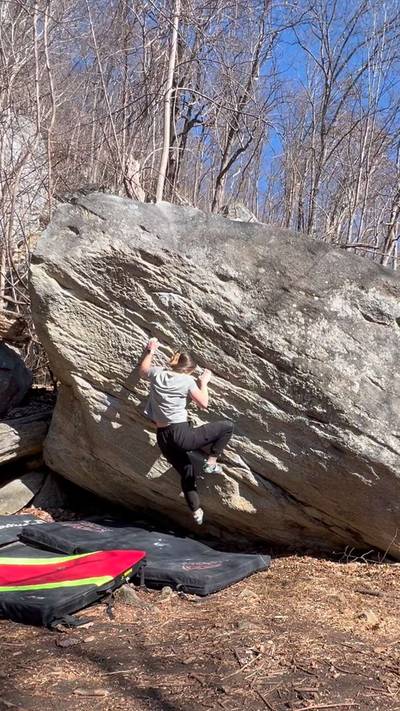 Three Little Birds v4, Rumbling Bald - Beta Video from staticqueen