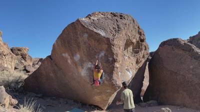 Carrot Top v3, Bishop - Beta Video from ahleeneh