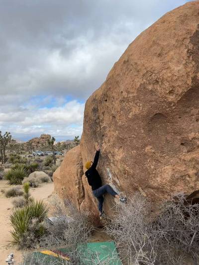 Bardini Low v4, Joshua Tree - Beta Video from Branerd