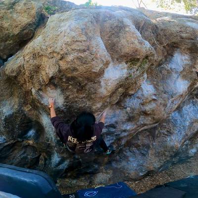 Sunshine v5, Berkeley - Beta Video from dindinasaur