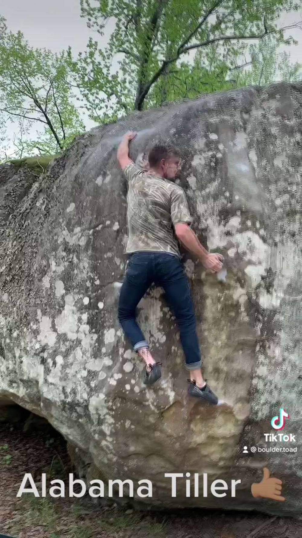 Alabama Tiller v8, Horse Pens 40 - Beta Video from timphotos