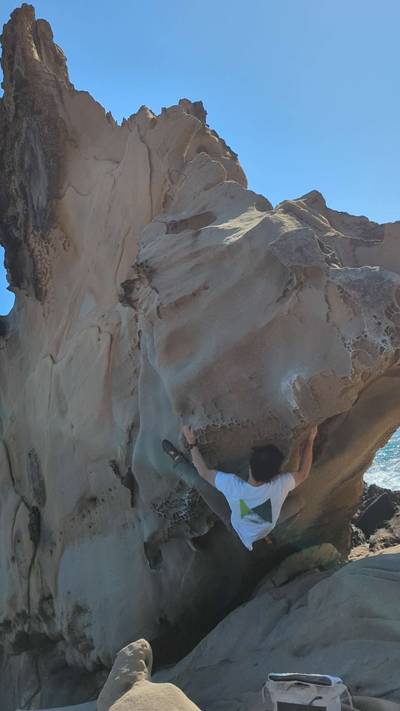 Triceratops v4, Salt Point - Beta Video from edasaur