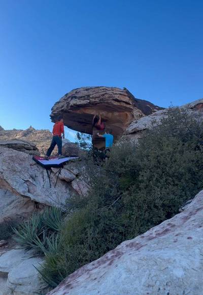 Bonsai v7, Red Rock - Beta Video from lkasmer