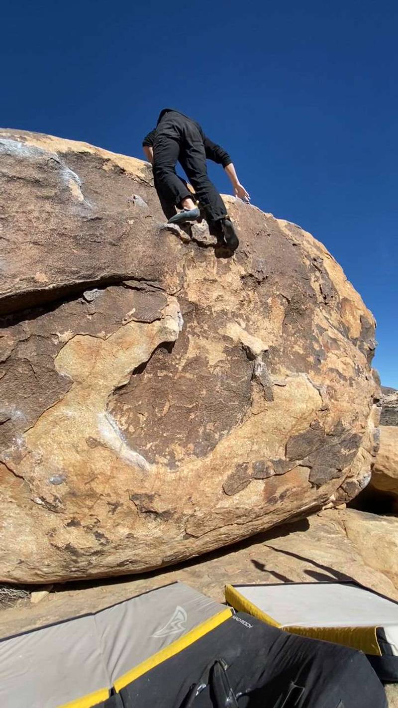 Unnamed 1 (Chorizo Tacos) v1, Joshua Tree - Beta Video from Willer