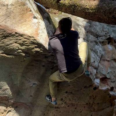 Pray Like A Mantis v9, Zahnd - Beta Video from DirkCranston