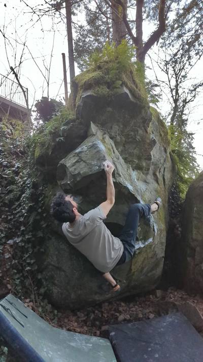 Gut Crunch v5, Carver - Beta Video from jfr