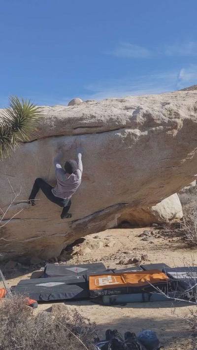 Meadows Direct v6, Joshua Tree - Beta Video from advian