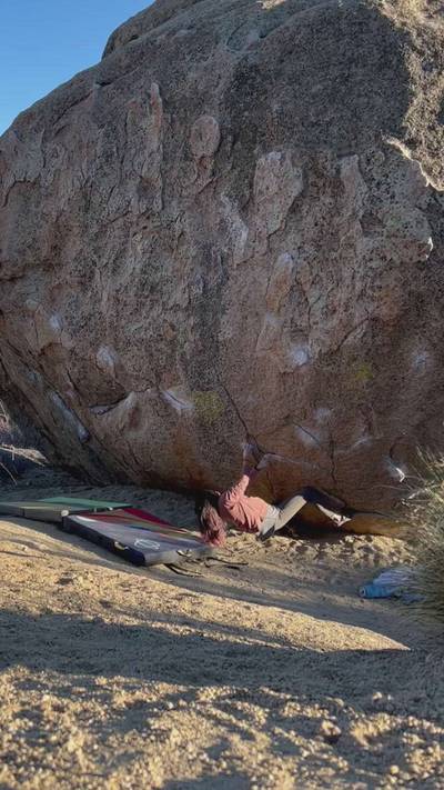 Smooth Shrimp v6, Bishop - Beta Video from LittleBetaBird