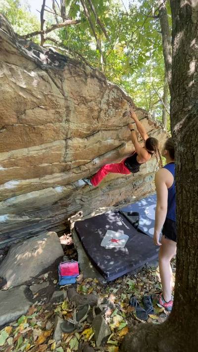 Declawed v4, Lookout Mountain - Beta Video from EmilyRothrock